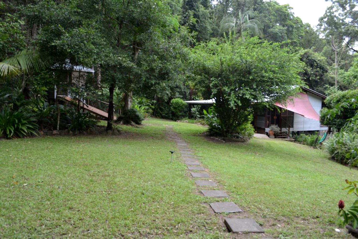 Peaceful Cottage Rental in a Lush Natural Setting near Kondalilla National Park, Queensland