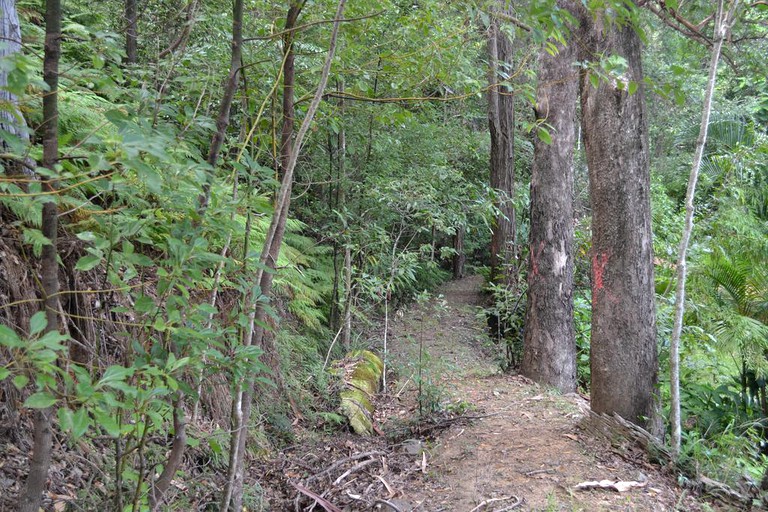 Cottages (Palmwoods, Queensland, Australia)