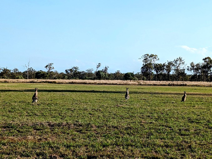 Tiny Houses (Australia, Howard, Queensland)