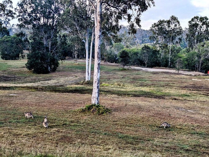 Tiny Houses (Australia, Howard, Queensland)
