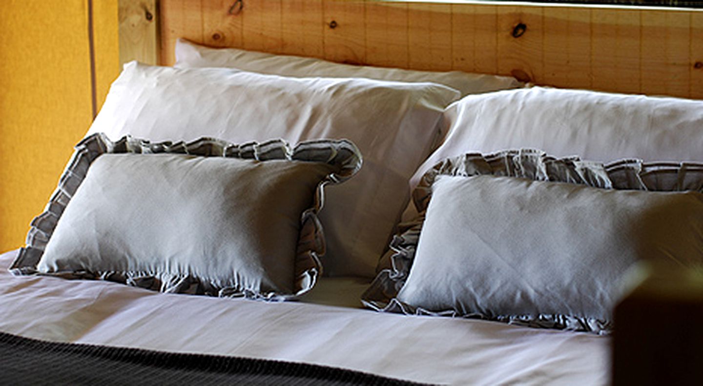 Unique Safari Tent Accommodation for Countryside Glamping in Suffolk, England