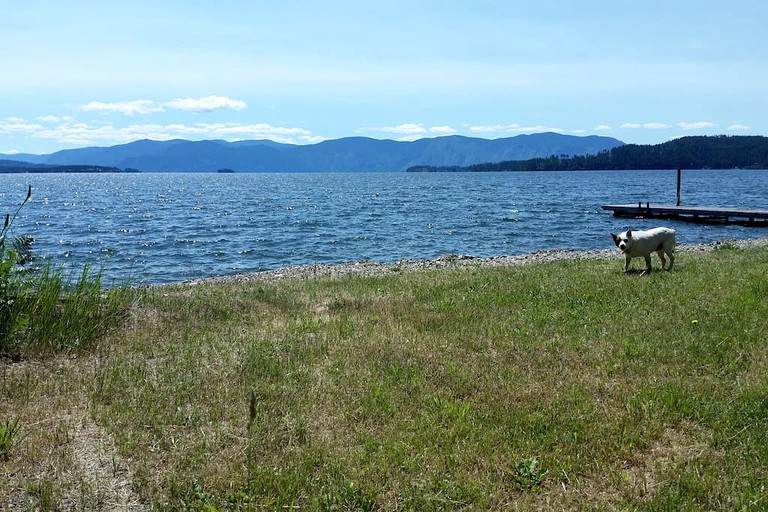 Bell Tents (Sandpoint, Idaho, United States of America)