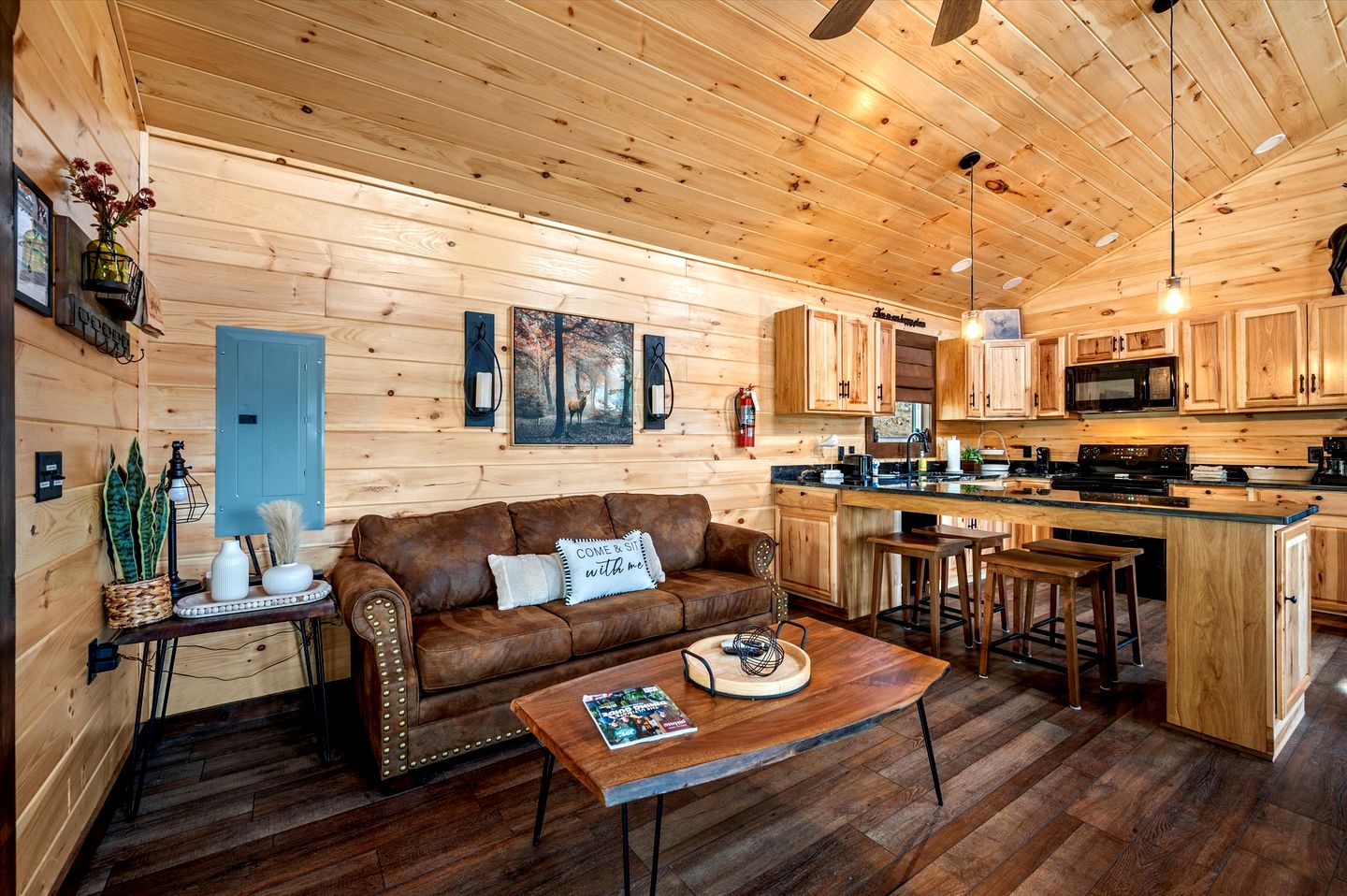 Rustic Cabin near the Great Smoky Mountains, Tennessee