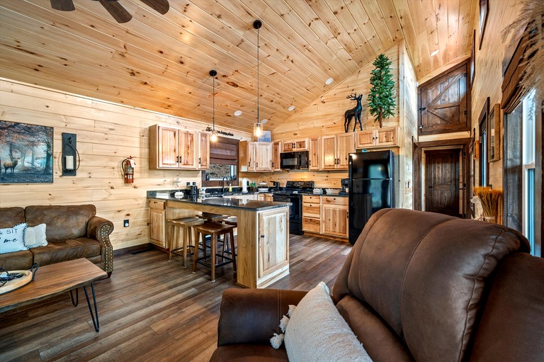 Cabins (United States of America, Sevierville, Tennessee)
