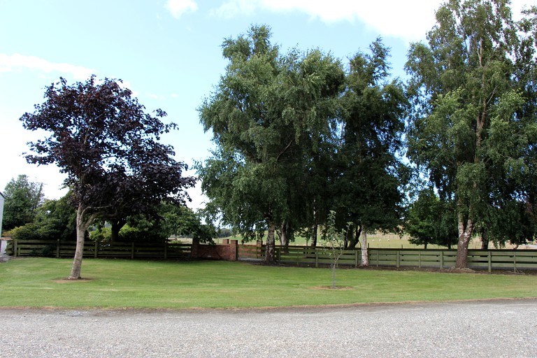 Cottages (Gore, South Island, New Zealand)