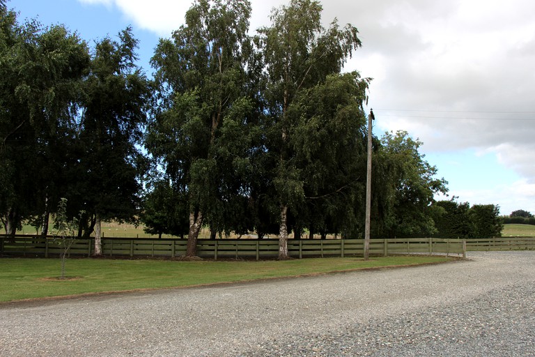 Cottages (Gore, South Island, New Zealand)