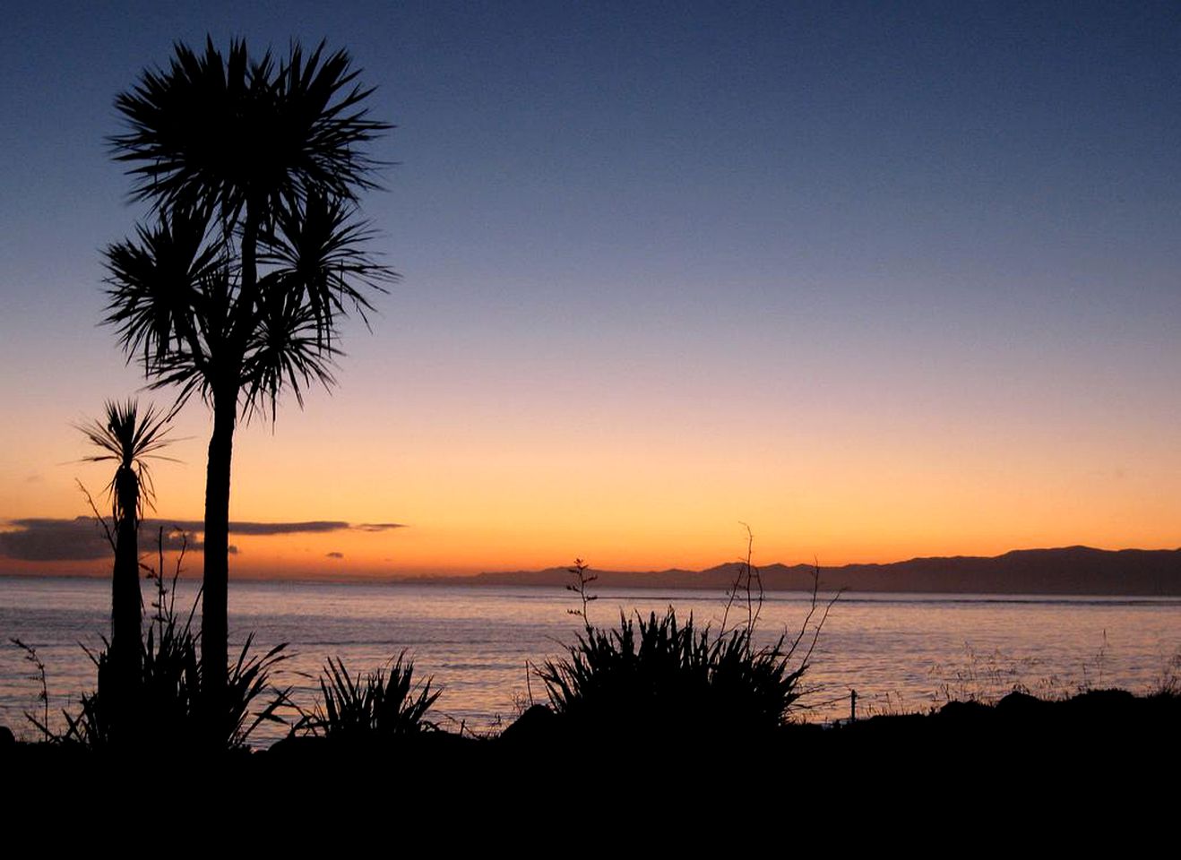 Private Room with Tropical Decor near Wharariki Beach, New Zealand