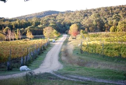 Cottage Rental In Ballandean Queensland