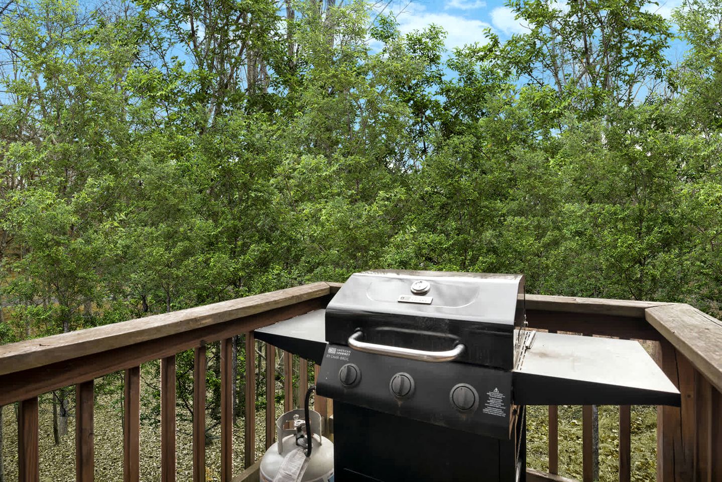 Family-Friendly Mountain Cabins with Bunkhouse & Resort Amenities Near Sleepy Creek, Hedgesville, WV