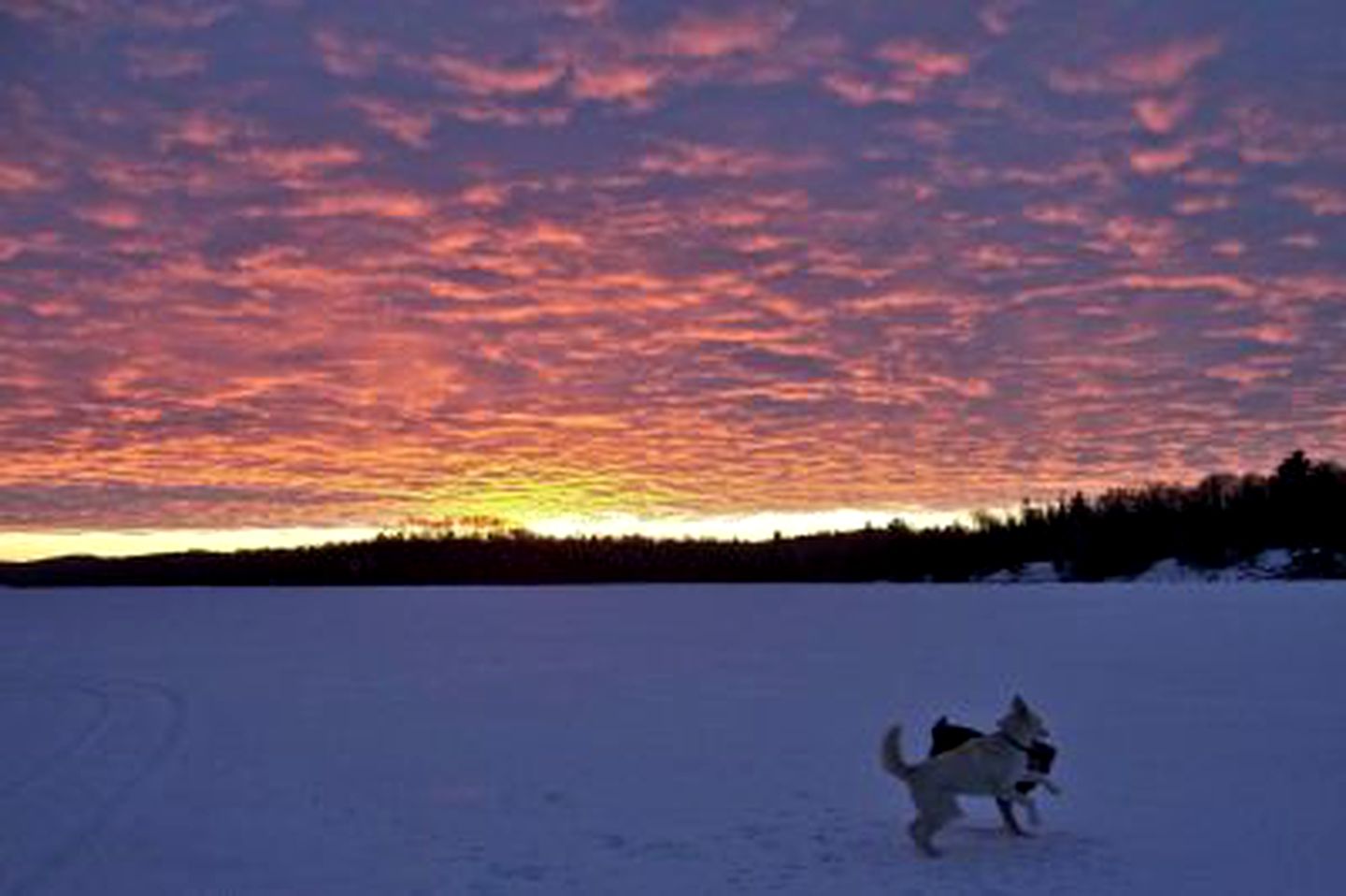 Lang Lake Resort, Cabins 32200, Espanola, Canada Glamping Hub