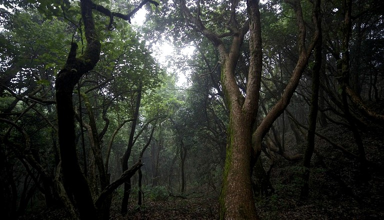 Vacation Rentals (Gurgaon, Haryana, India)