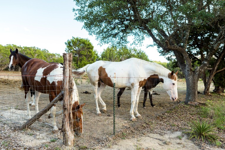 Cabins (Dripping Springs, Texas, United States)