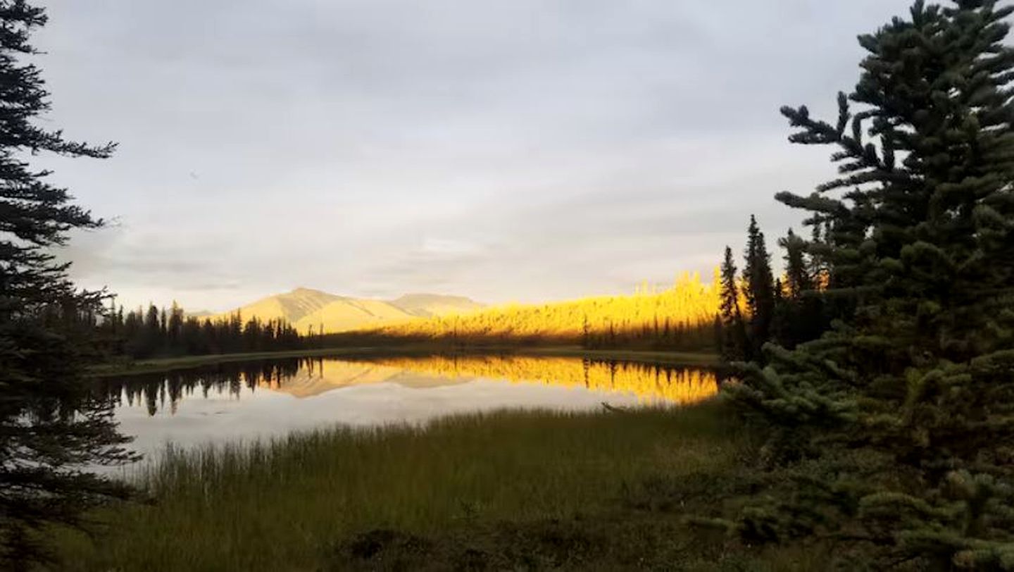 Wrangell-St.Elias National Park Glamping Cabin for an Alaskan Outdoor Adventure