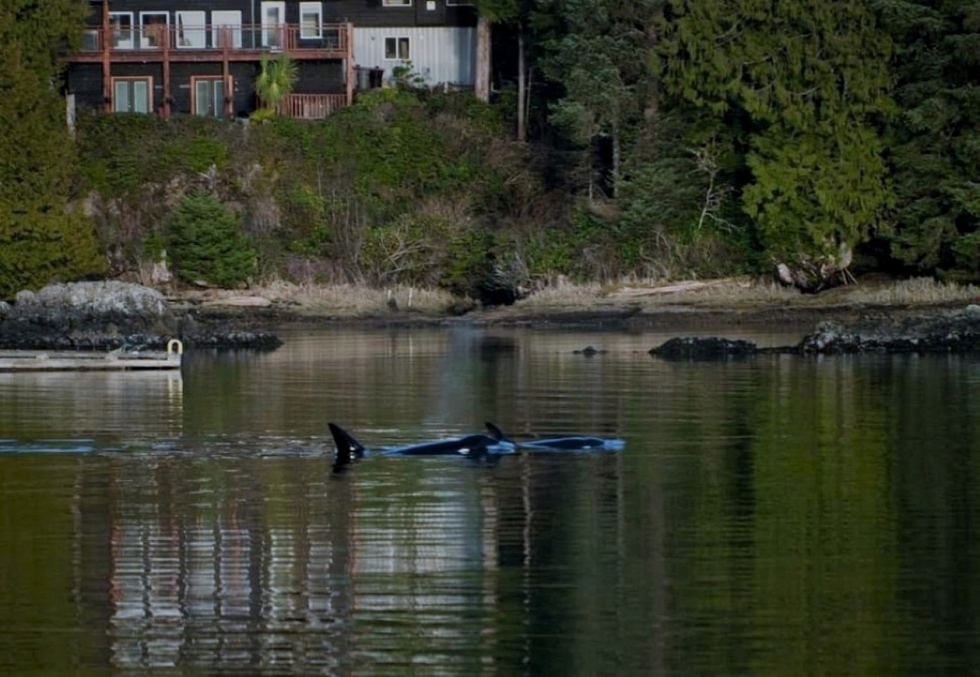 Ucluelet Glamping Escape for a Waterfront Holiday