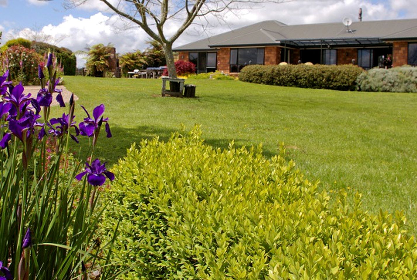 Charming Bed and Breakfast with Therapeutic Spa near Hamilton, North Island