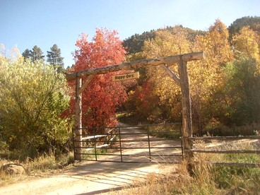 undefined photo 2