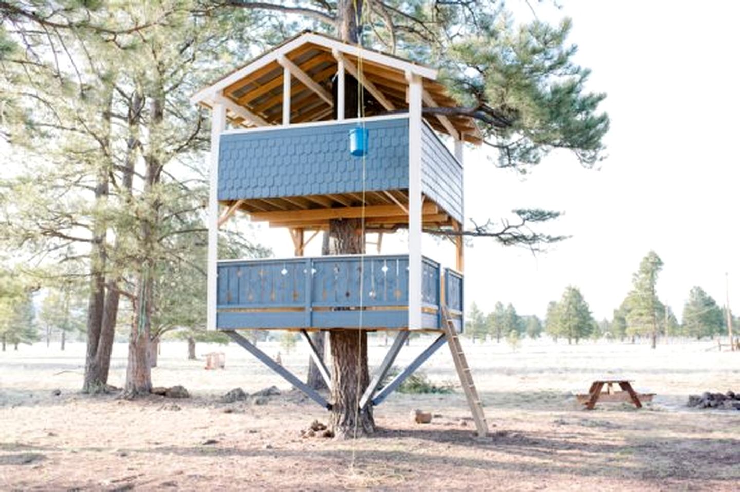 Spacious and Unique Cottage with a Treehouse in Williams, Arizona, Perfect for a Family-Friendly Trip to the Grand Canyon