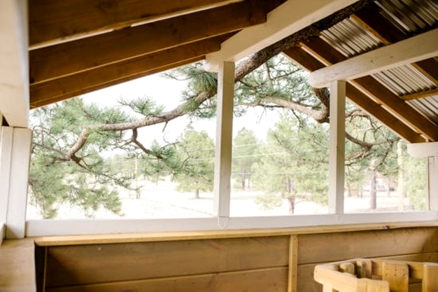 Spacious and Unique Cottage with a Treehouse in Williams, Arizona, Perfect for a Family-Friendly Trip to the Grand Canyon