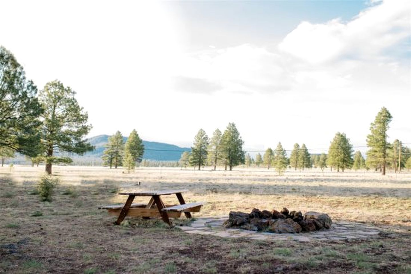 Spacious and Unique Cottage with a Treehouse in Williams, Arizona, Perfect for a Family-Friendly Trip to the Grand Canyon