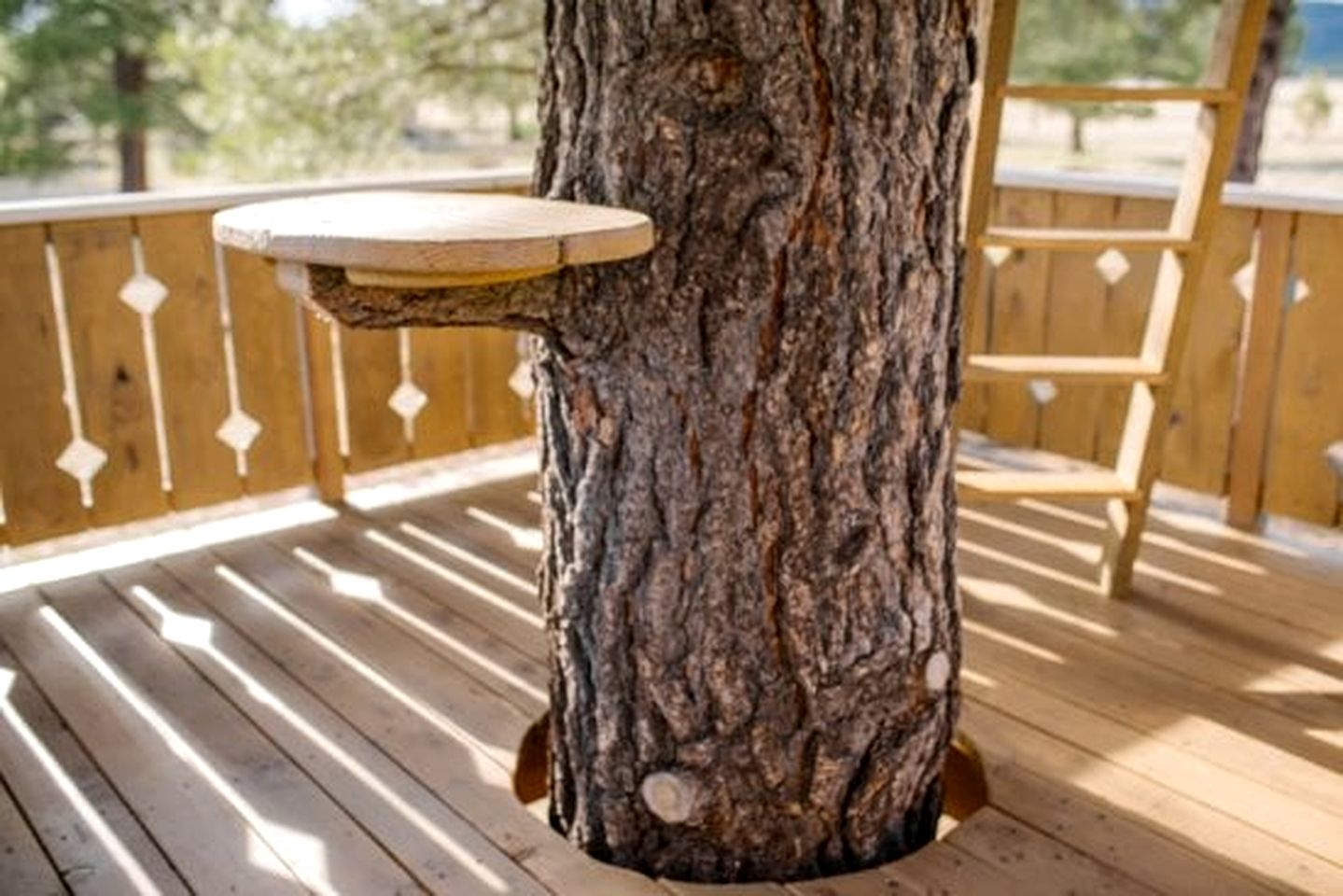 Spacious and Unique Cottage with a Treehouse in Williams, Arizona, Perfect for a Family-Friendly Trip to the Grand Canyon