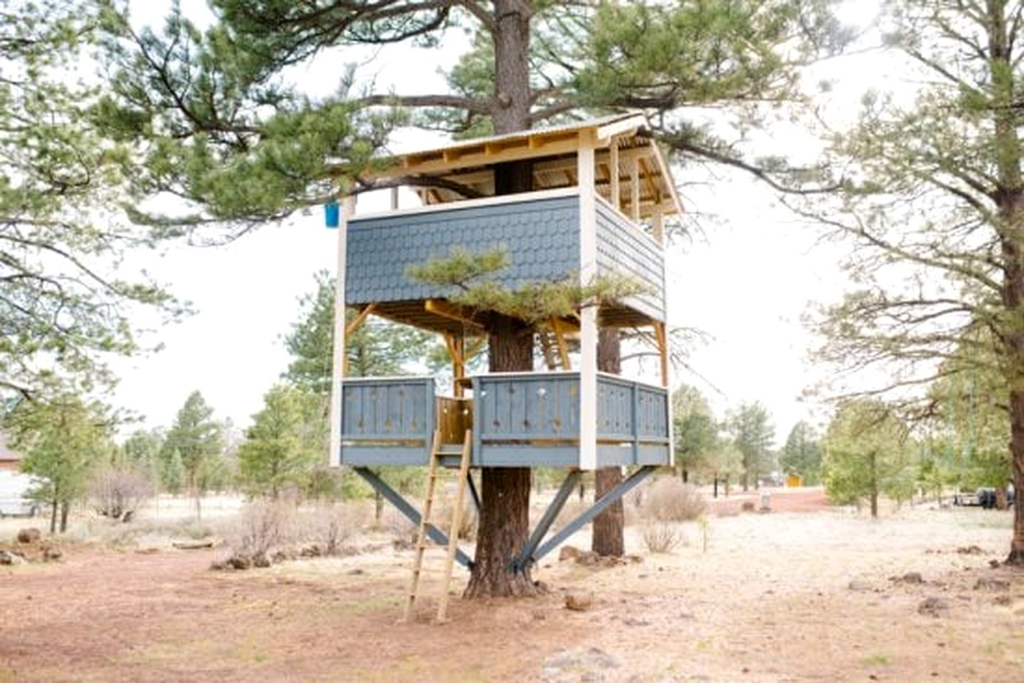 Spacious and Unique Cottage with a Treehouse in Williams, Arizona, Perfect for a Family-Friendly Trip to the Grand Canyon