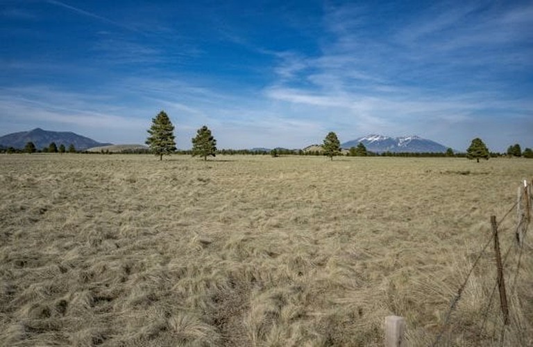 Cottages (United States of America, Williams, Arizona)