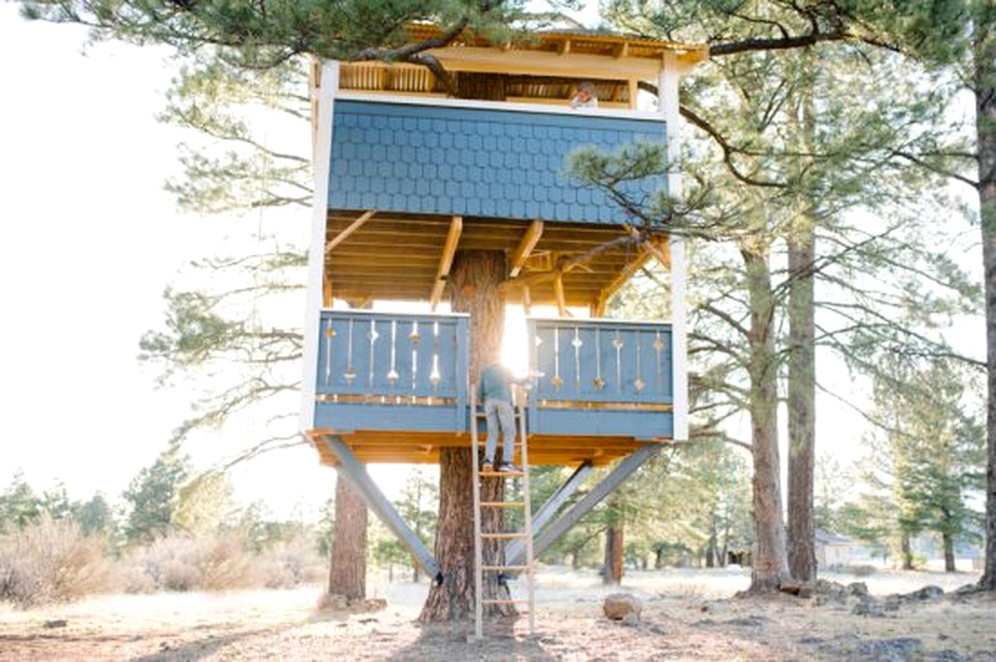 Spacious and Unique Cottage with a Treehouse in Williams, Arizona, Perfect for a Family-Friendly Trip to the Grand Canyon