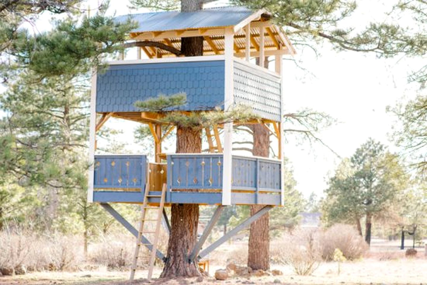 Spacious and Unique Cottage with a Treehouse in Williams, Arizona, Perfect for a Family-Friendly Trip to the Grand Canyon