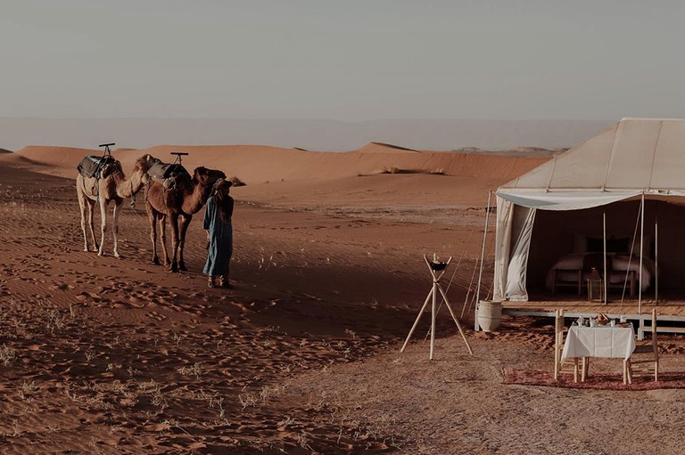 Tents (Zagora, Drâa-Tafilalet Region, Morocco)