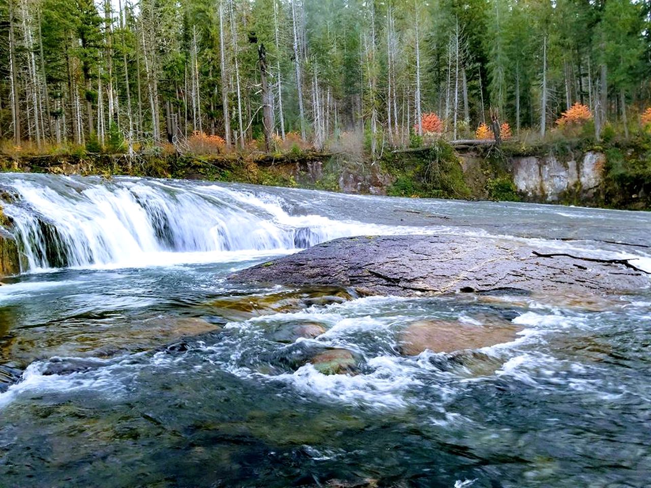 Umpqua's Last Resort, Cabins 57871, Idleyld Park, United States of