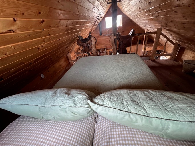 Cabins (United States of America, Pony, Montana)
