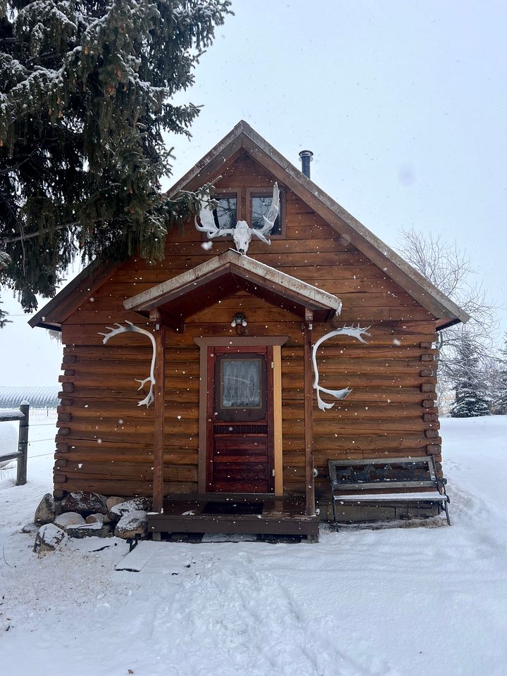 Charming Log Cabin with Mountain Views near Trails in Pony, Montana