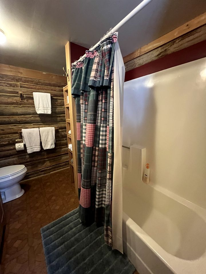 Charming Log Cabin with Mountain Views near Trails in Pony, Montana