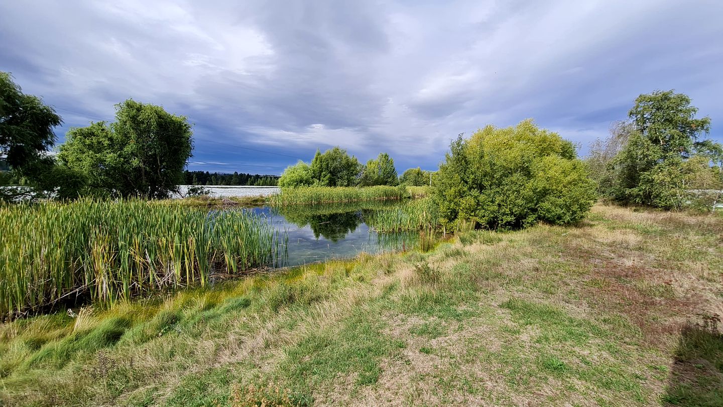 Riverfront Tiny House Perfect for a Couple Getaway in Clyde, South Island