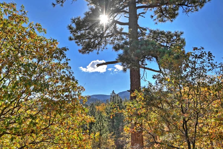 Cabins (United States of America, Big Bear Lake, California)