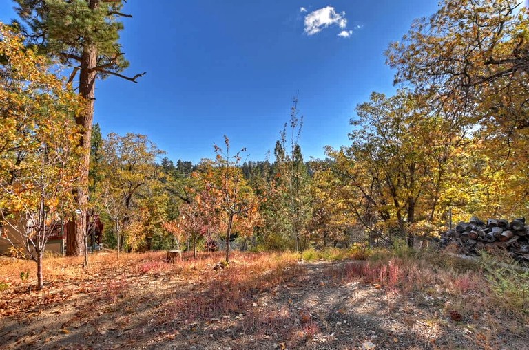 Cabins (United States of America, Big Bear Lake, California)