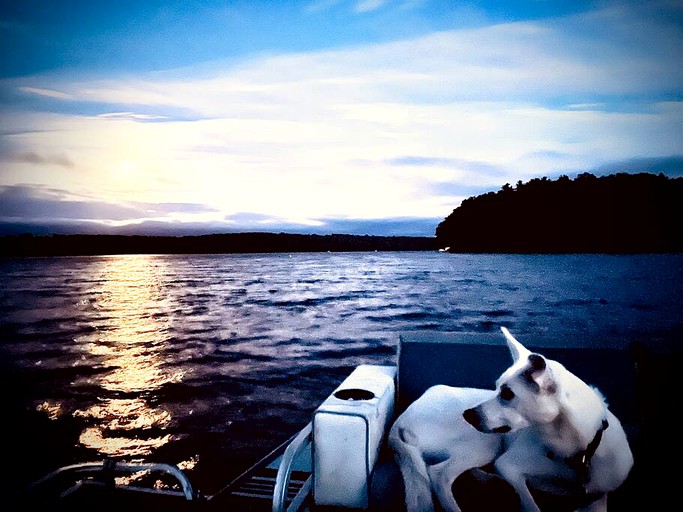 Private Islands (United States of America, Monmouth, Maine)