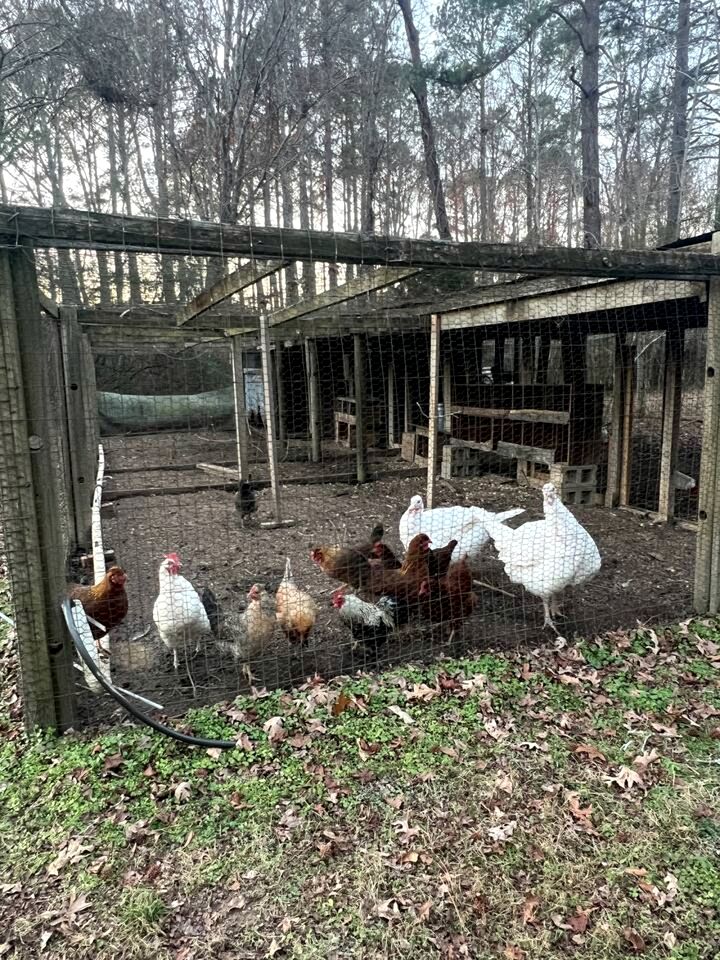 Unique Earth Home Stay with Pet Goats and Fishing Pond near Lake Gaston NC