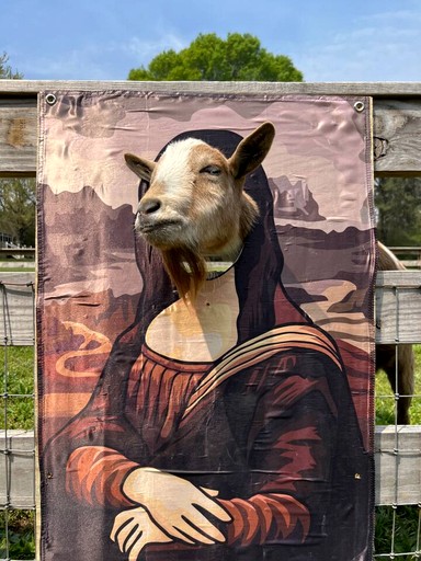 Tiny Houses (United States of America, Littleton, North Carolina)