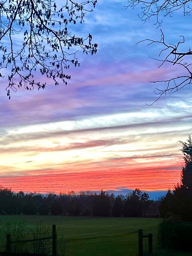 Tiny Houses (United States of America, Littleton, North Carolina)