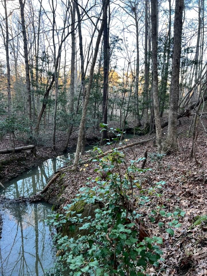 Unique Earth Home Stay with Pet Goats and Fishing Pond near Lake Gaston NC