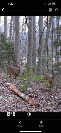 Tiny Houses (United States of America, Littleton, North Carolina)