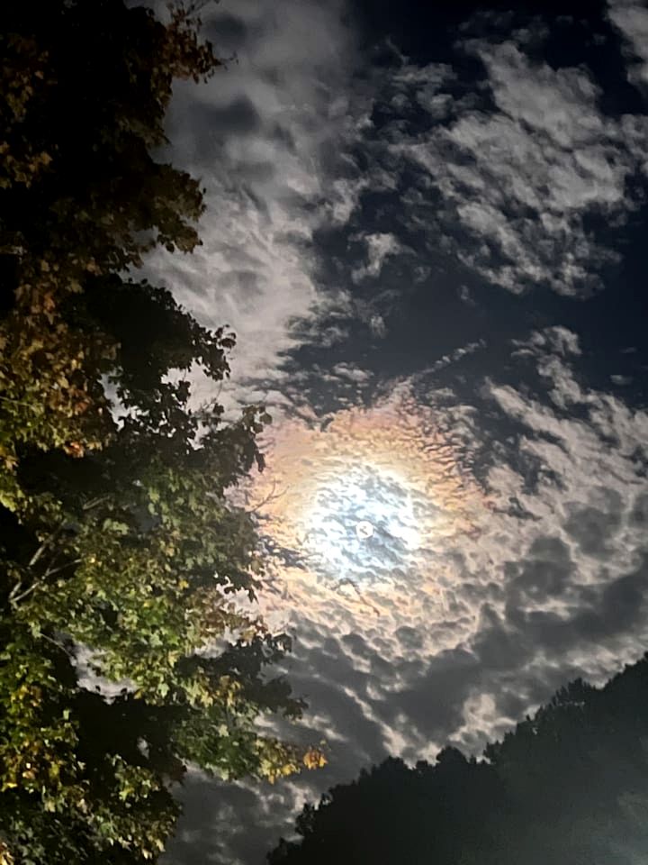 Unique Earth Home Stay with Pet Goats and Fishing Pond near Lake Gaston NC