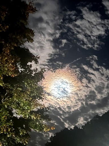 Tiny Houses (United States of America, Littleton, North Carolina)