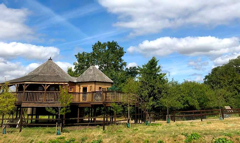 Tree Houses (Wiltshire, England, United Kingdom)