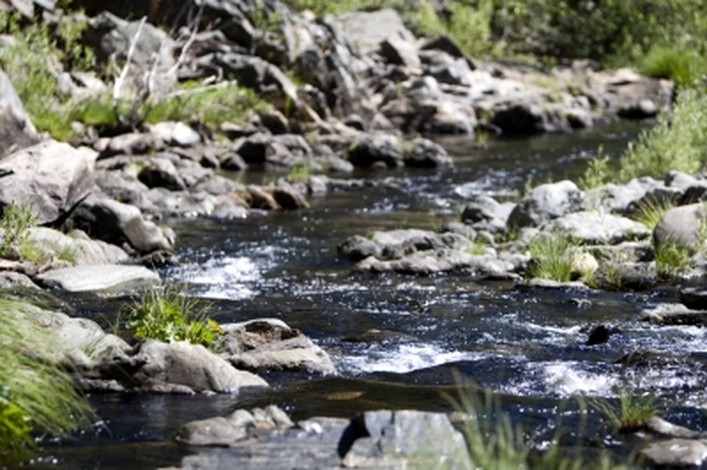 Mountain Cabin Rental For 52 with a Luxury Hot Tub La Porte, Northern California