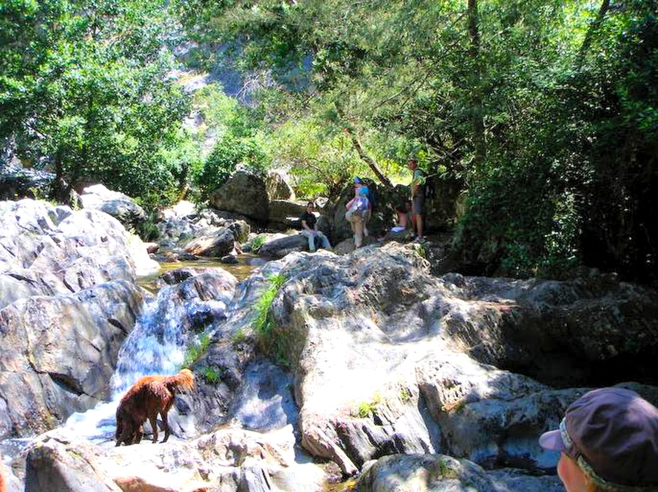 Unique Camping in a Peaceful Valley of Central Portugal