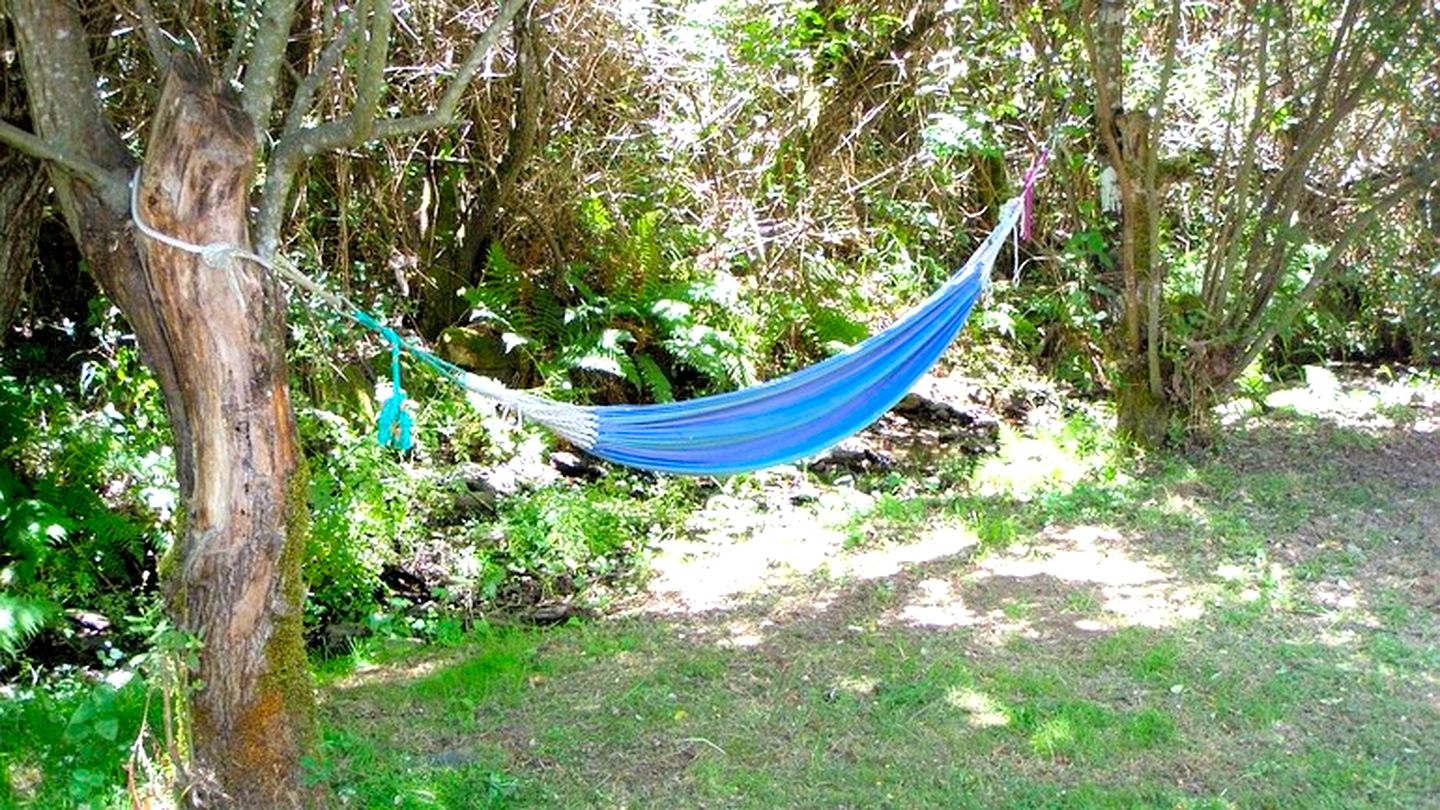 Unique Camping in a Peaceful Valley of Central Portugal