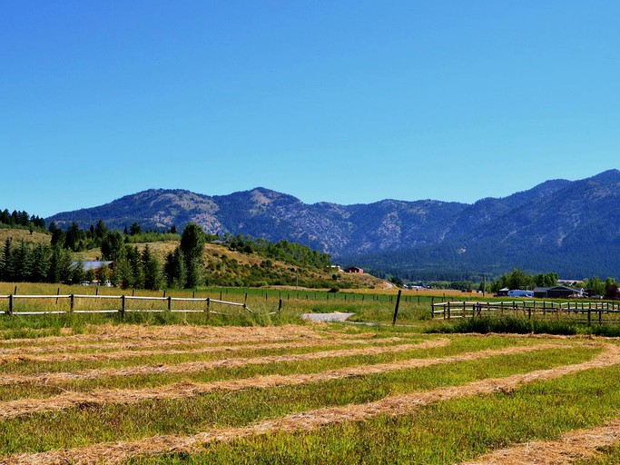Unique Cozy Cabin, with mountain views and Horse pasture Avalible, Cabins, Etna, United States