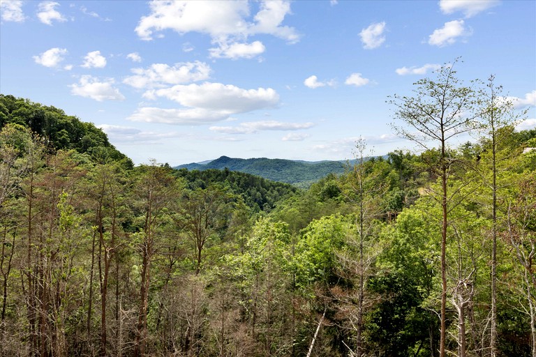Cabins (United States of America, Sevierville, Tennessee)